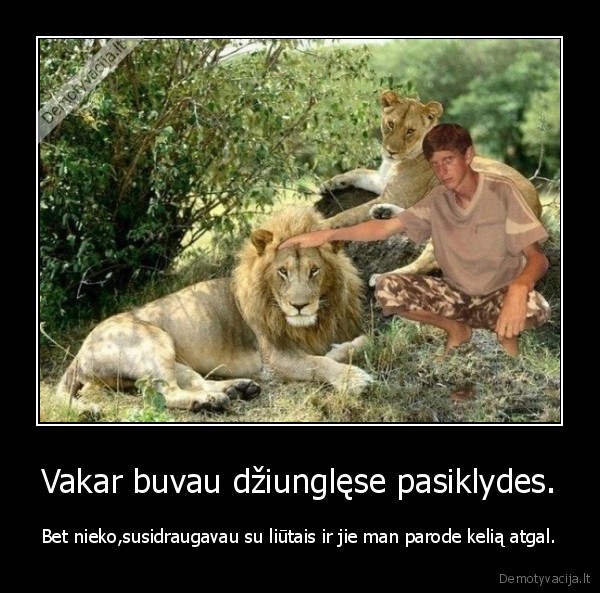 ps, meistras, nr1, pasaulyje