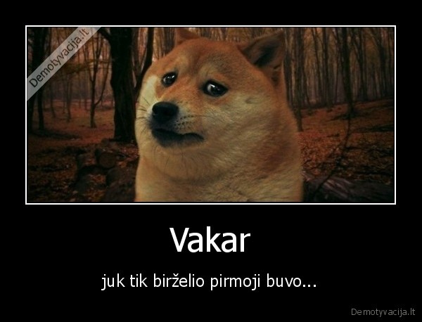 birzleis,pabaiga,vakar