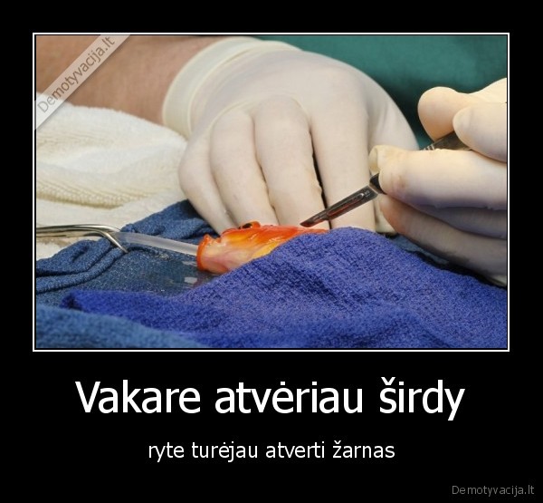 nebalbatuok, gerdamas, neprisidaryk, problemu