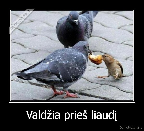 valdzia,liaudis,seimas