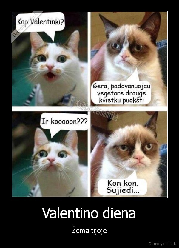 zemaiciai,valentino, diena