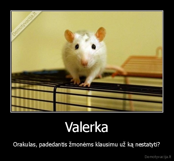 Valerka