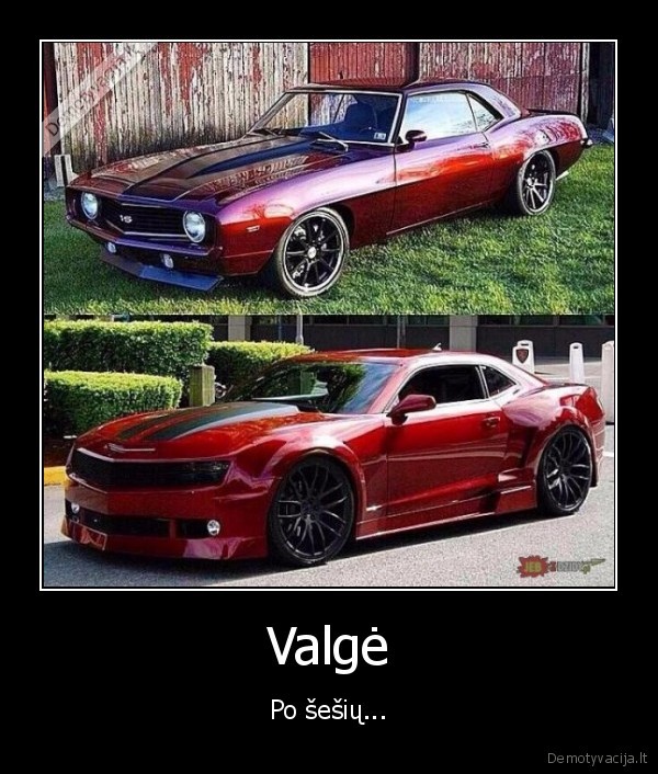 ford, mustang,senas, mustangas,naujas, mustangas