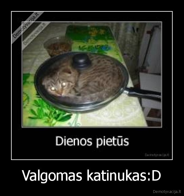Valgomas katinukas:D