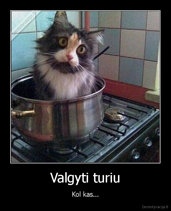 na,siaip,tai,gyvunus,as,myliu,tai,kad,blt,cia,pokstas,