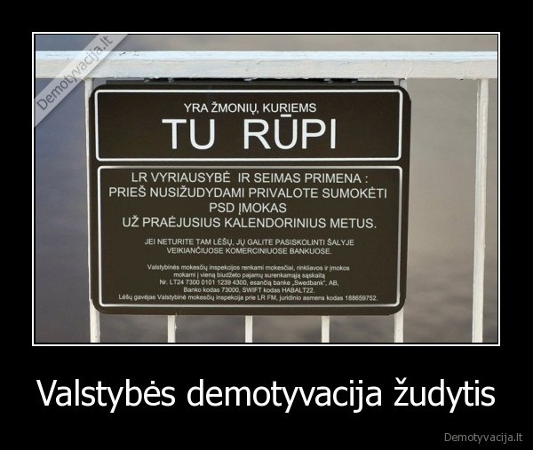 psd, imokos,vyriausybe,seimas,valstybe,rupestis