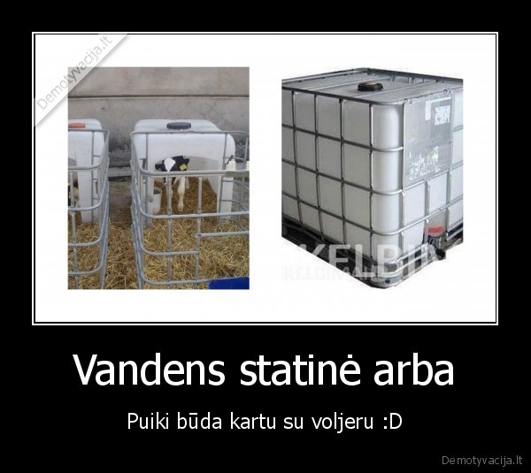 voljeras, buda, suo, darba, chuck, norris, meile, pramogos, gyvunai, darbas