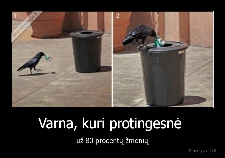 varna,siuksles,protinga