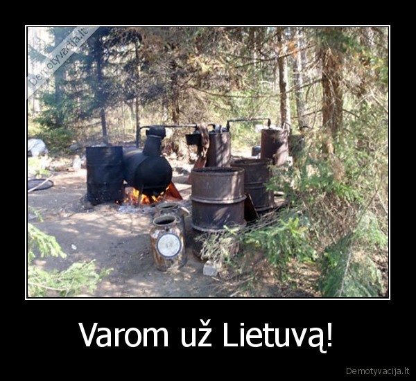 jeigu,nezinojot,zodis,varyti,gali,reiksti,naminukes,gaminima