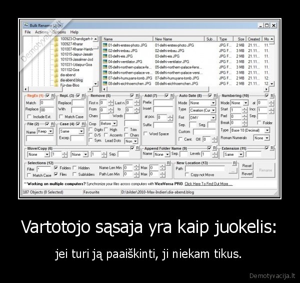 vartotojo, sasaja,juokelis,fail