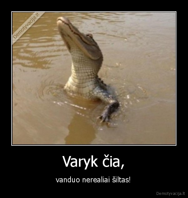 krokodilas, atvaryk, cia