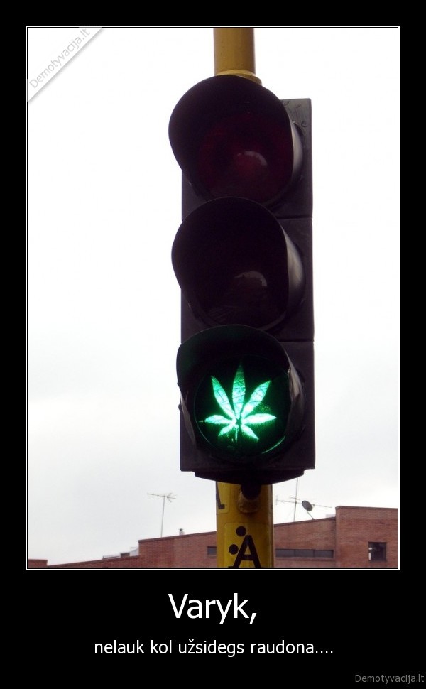 popiezius, seima, meile, vertybes, pramogos, juokas, prikolai