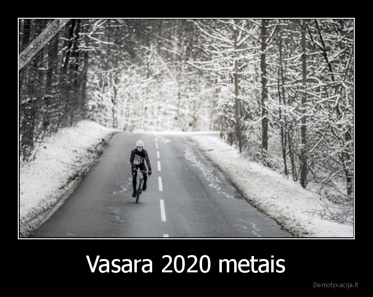 vasara,2020,ziema