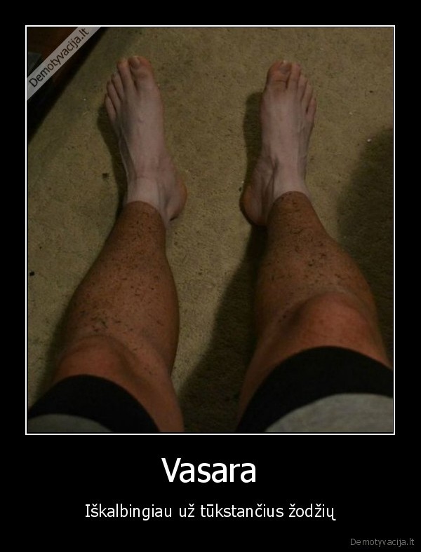 vasara, kojos, neidige