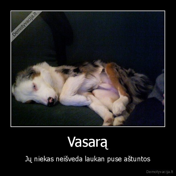 miegas,suo,laikrodis