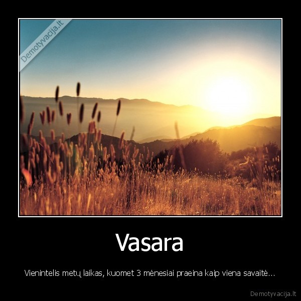 Vasara