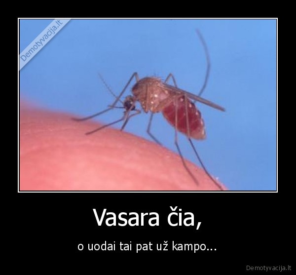 uodai, kanda, i, pazastis