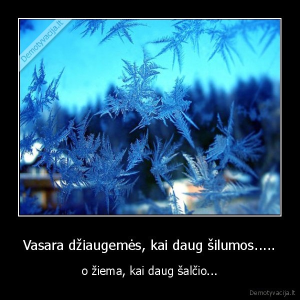 minus, 25, mokykla, ziema, vasara, saltis