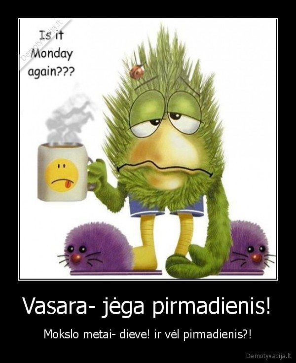 Vasara- jėga pirmadienis!