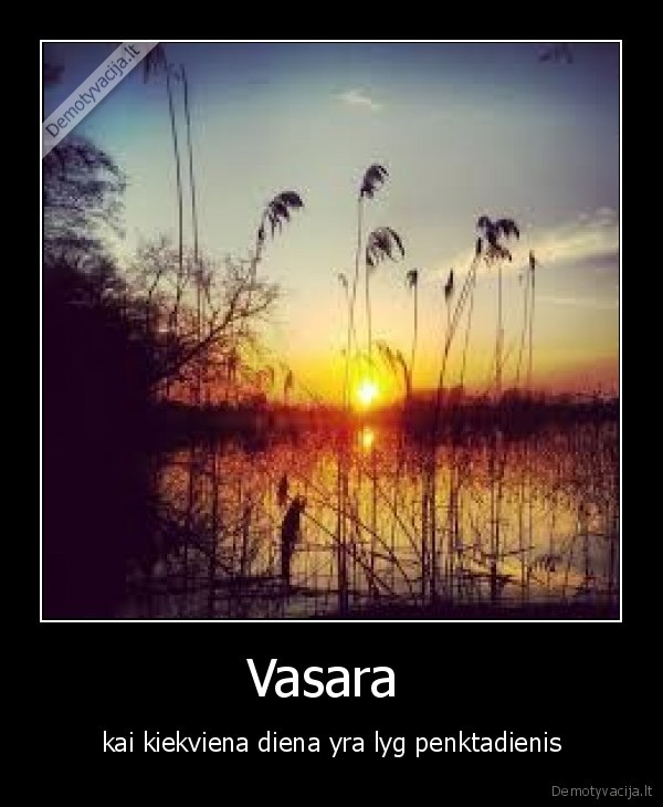 Vasara 