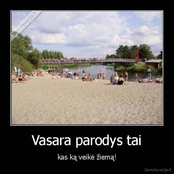 Vasara parodys tai