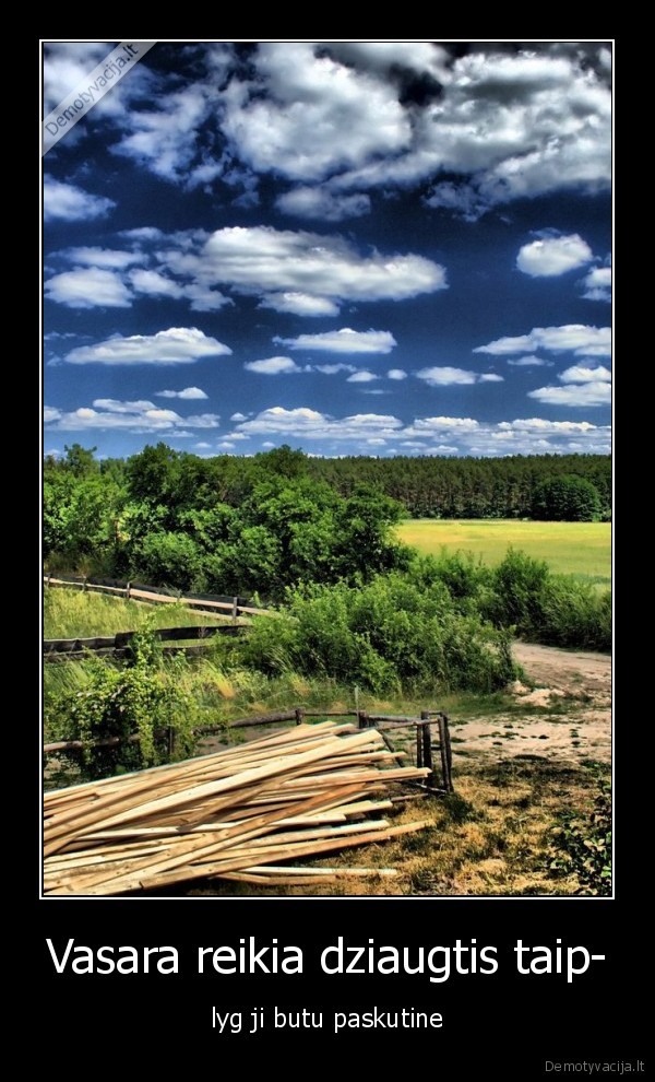 vasara,paskutine,dziaugtis