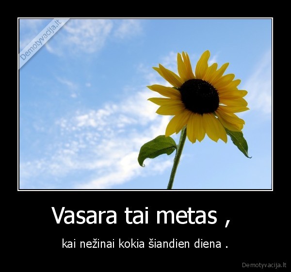 Vasara tai metas , 