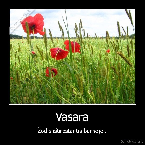 karstos, merginos,atostogos,saltas, alus,jura,kubilius