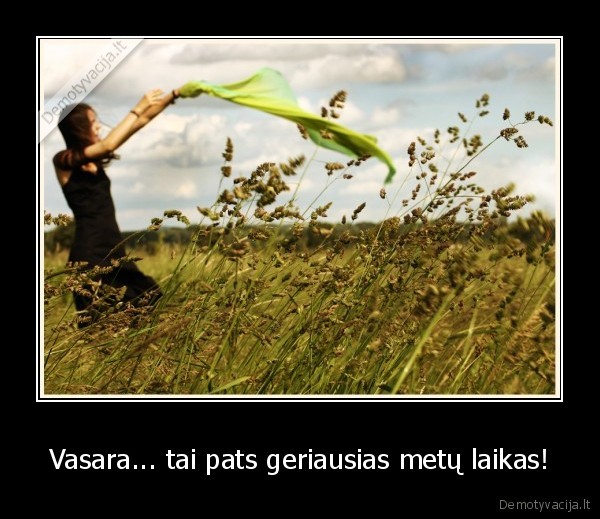 Vasara... tai pats geriausias metų laikas!