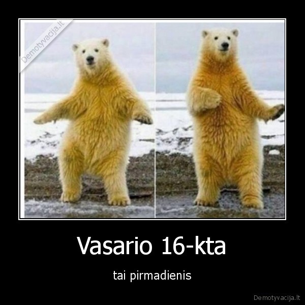 pirmadienis,laisvadienis