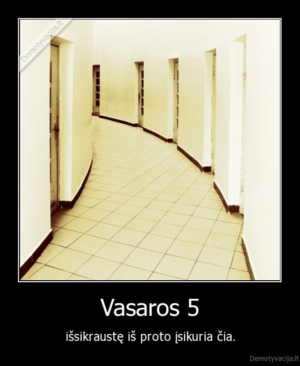 vasaros, 5,beprotnamis,ne, emotyvacija,beprotyste