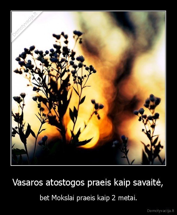 Vasaros atostogos praeis kaip savaitė,