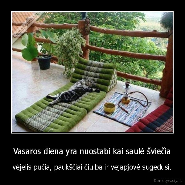 vasara,saule.poilsis