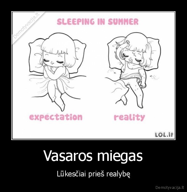 vasara,miegas,realybe