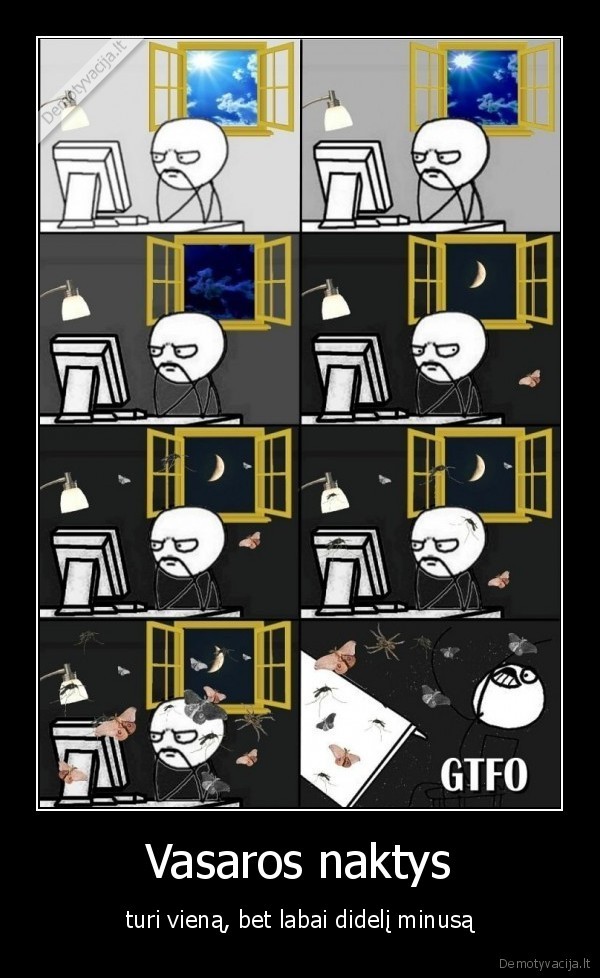 vasaros, naktys,erzinantys, vabzdziai,daug, masalu,vabzdziai