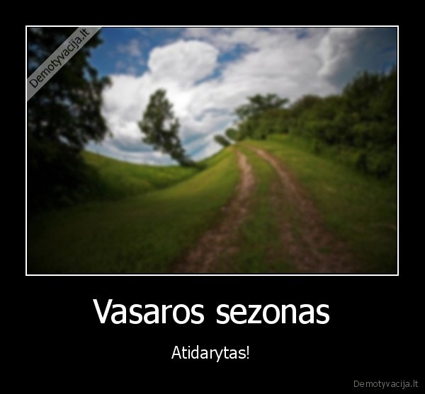 alkoholis,vasara,atidaryti,sezonas,kelias,gerti