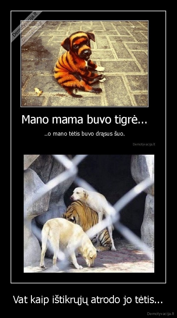 Vat kaip ištikrųjų atrodo jo tėtis...