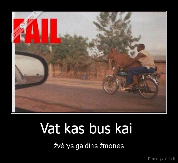 Vat kas bus kai 