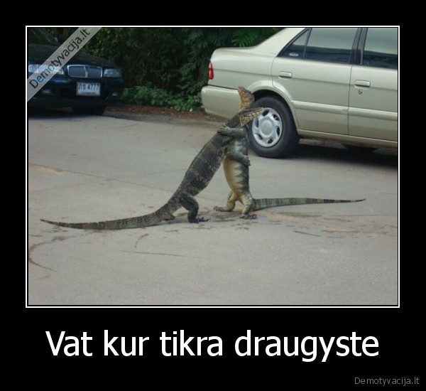 Vat kur tikra draugyste