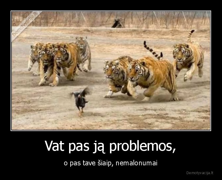 problemos,ar,nemalonumai,tave,pas