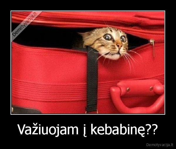 Važiuojam į kebabinę??