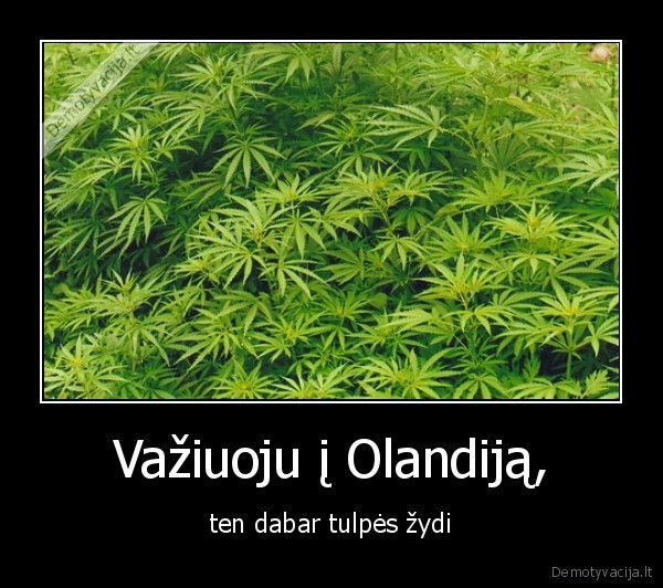 zole,zole,zole,zoleeeeeee,lalala