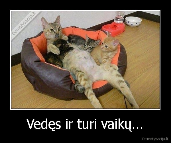 Vedęs ir turi vaikų...