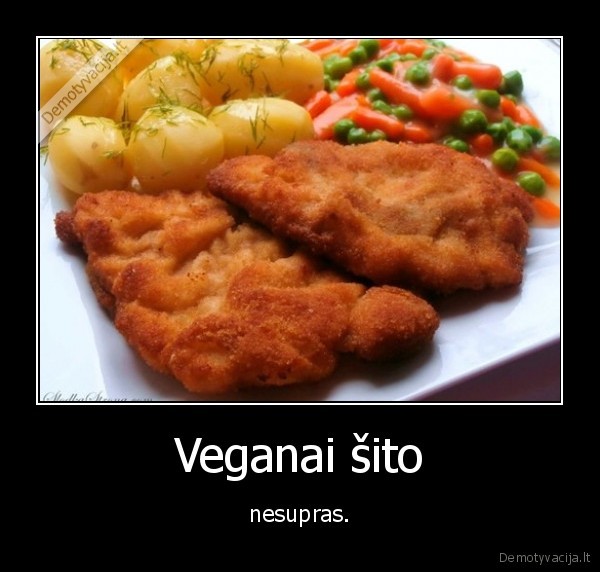 veganai,kepsnys,karbonadas,nesupras