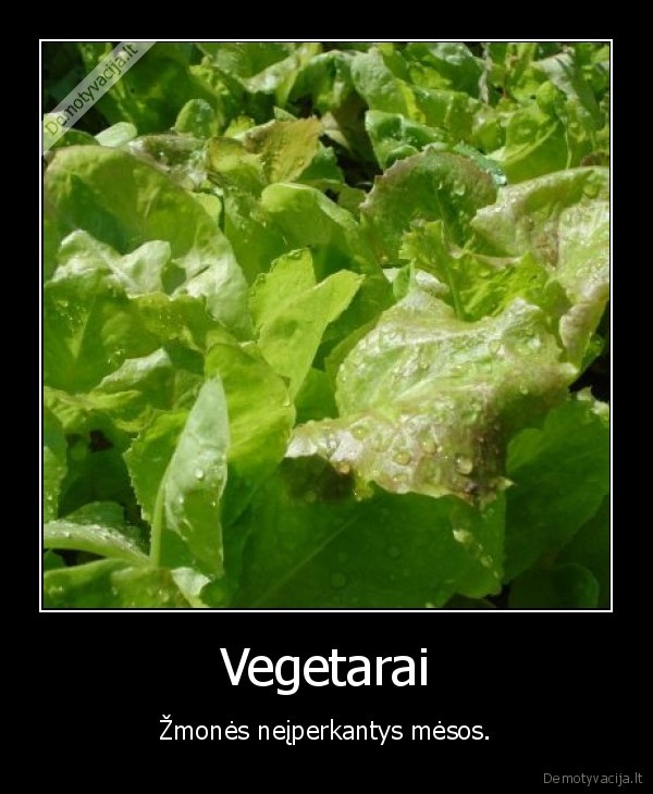 Vegetarai
