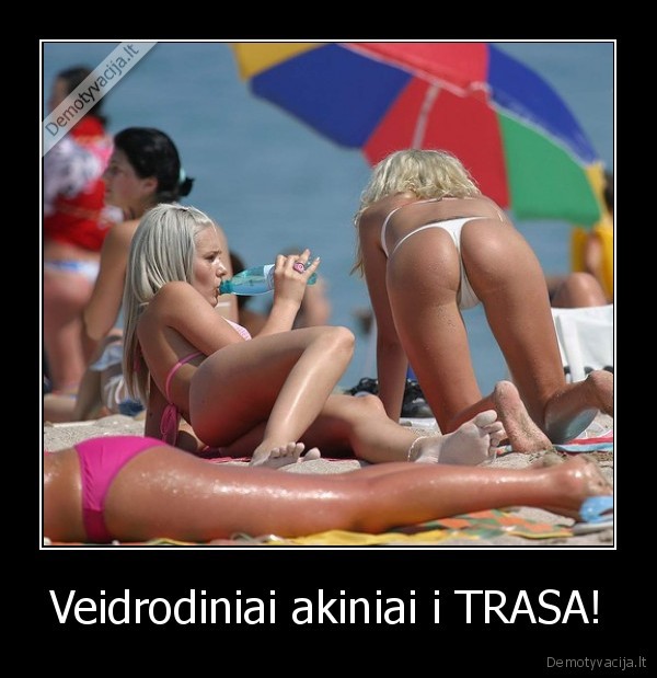 siknute,vasara,papludimys