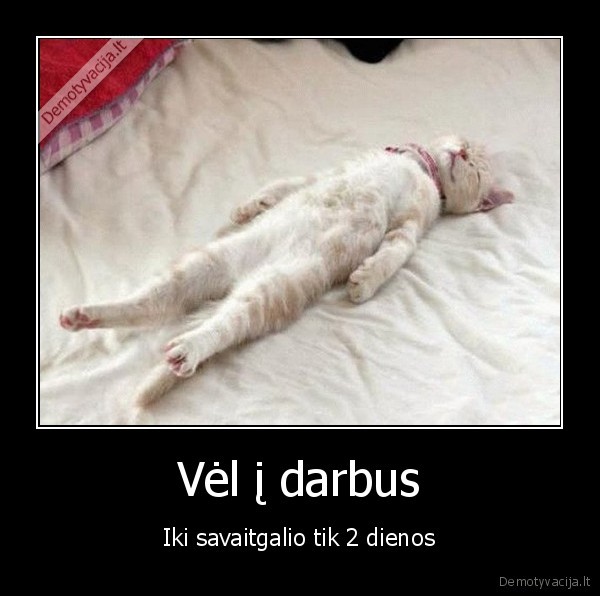 darbo, diena,vel, i, darba