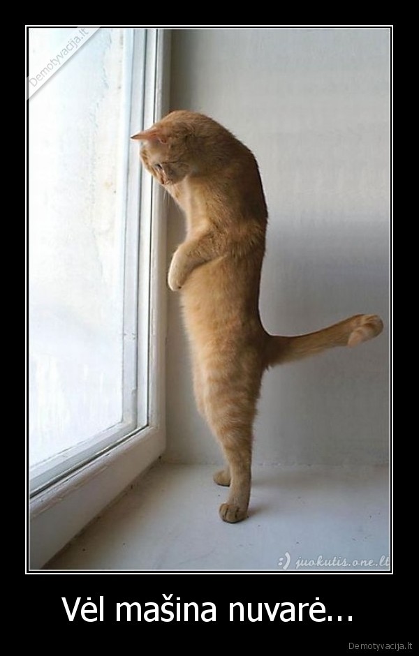 Vėl mašina nuvarė...