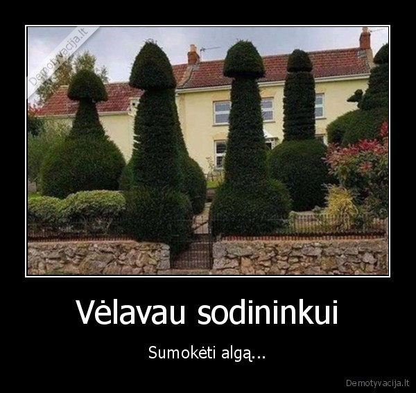 sodininkas,medziai,karpymas