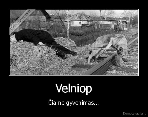 suo,savizudybe,alkoholis,girtas, miega